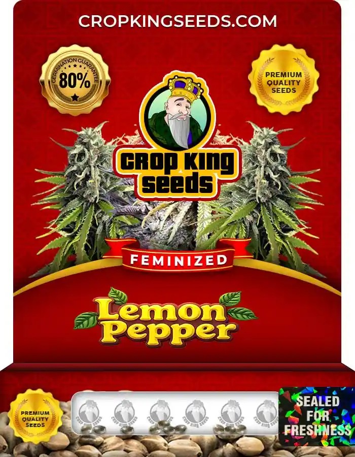 Lemon Pepper Strain Feminized Marijuana Seeds