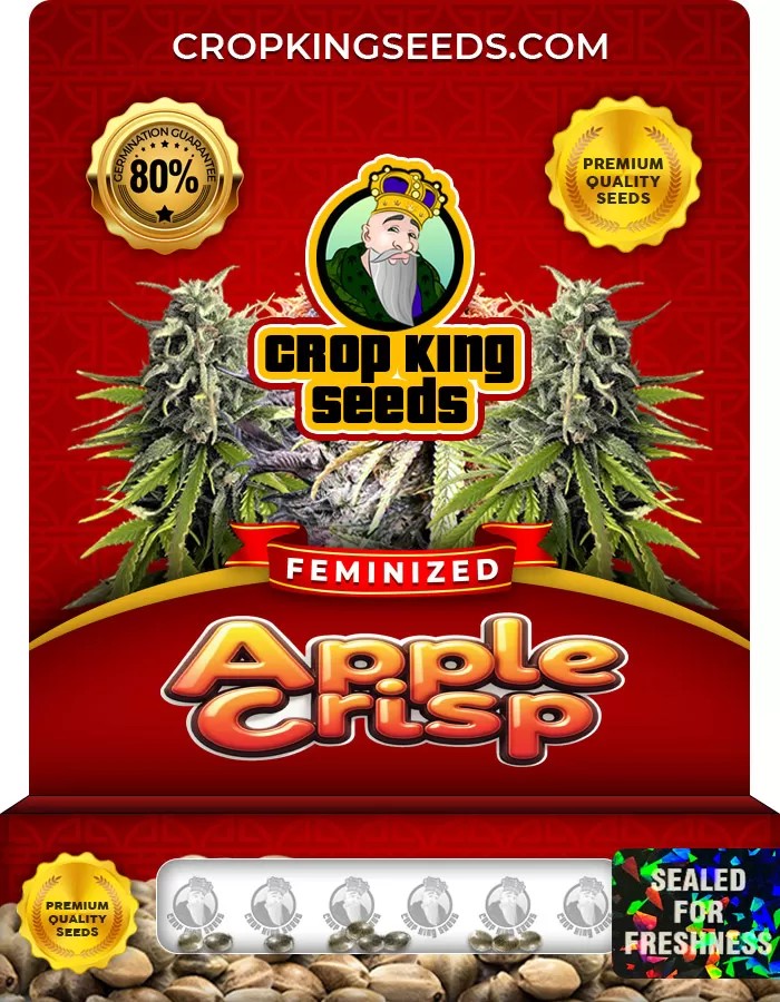 Apple Crisp Feminized Marijuana Seeds