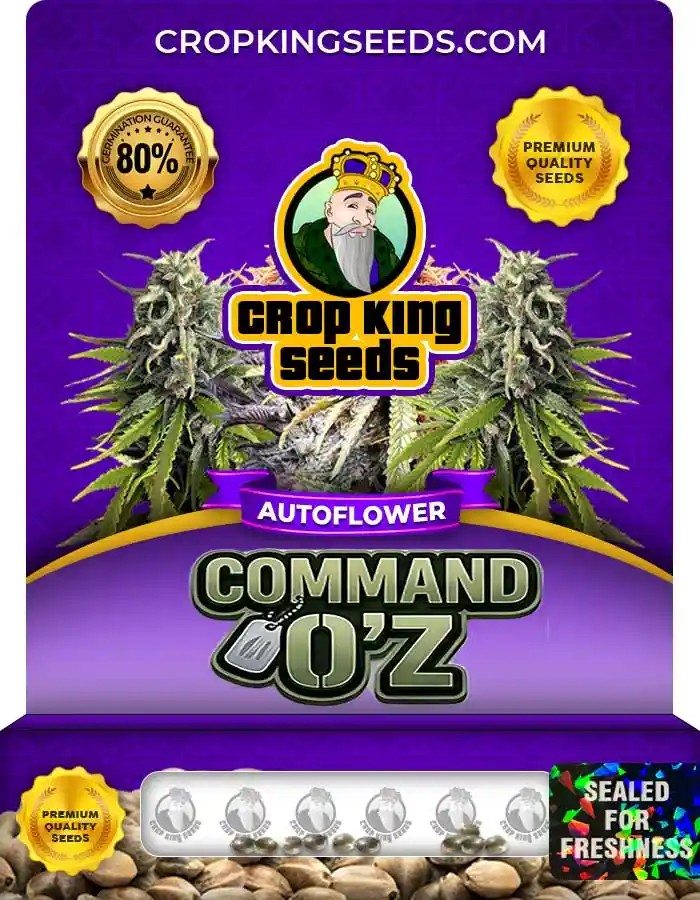 CommandO’z Autoflower Seeds