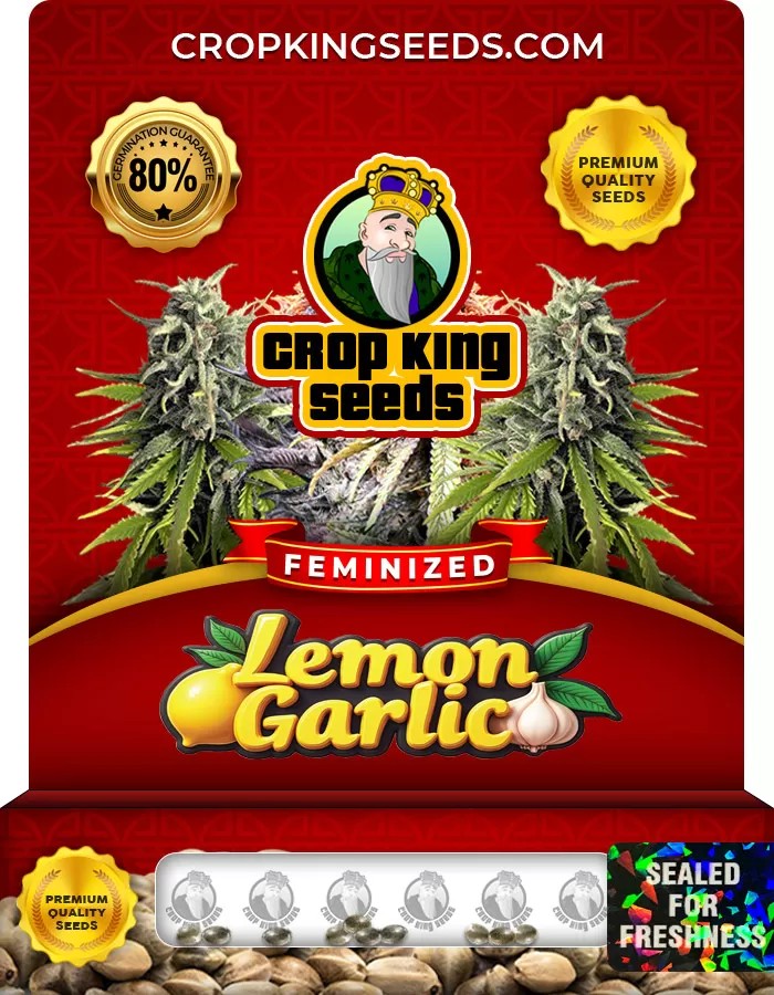Lemon Garlic Feminized Marijuana Seeds