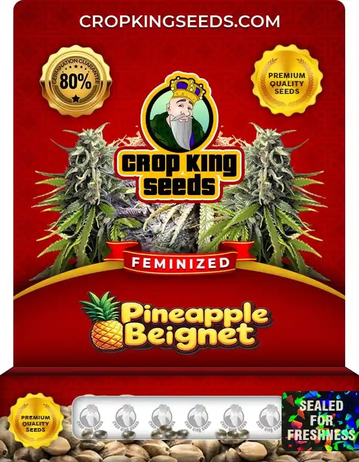 Pineapple Beignet Feminized Seeds