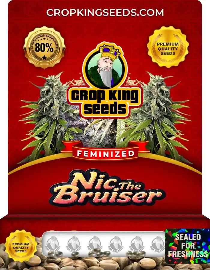 Nic the Bruiser Feminized Seeds