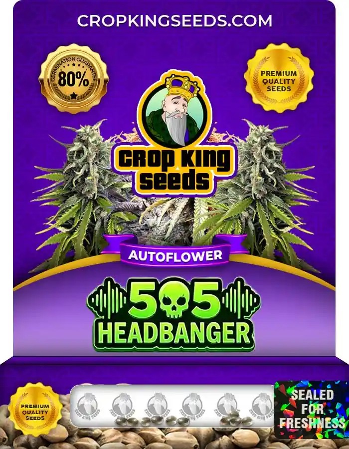 505 Headbanger Autoflower Seeds