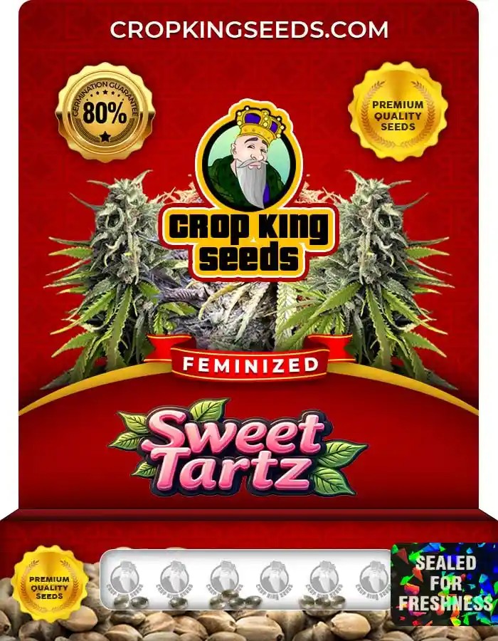 Sweet Tartz Strain Feminized Marijuana Seeds