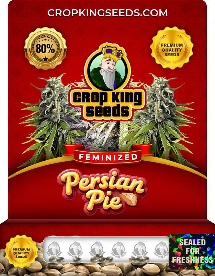 Persian Pie Strain Feminized Seeds