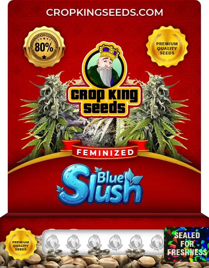 Blue Slush Strain Feminized Marijuana Seeds