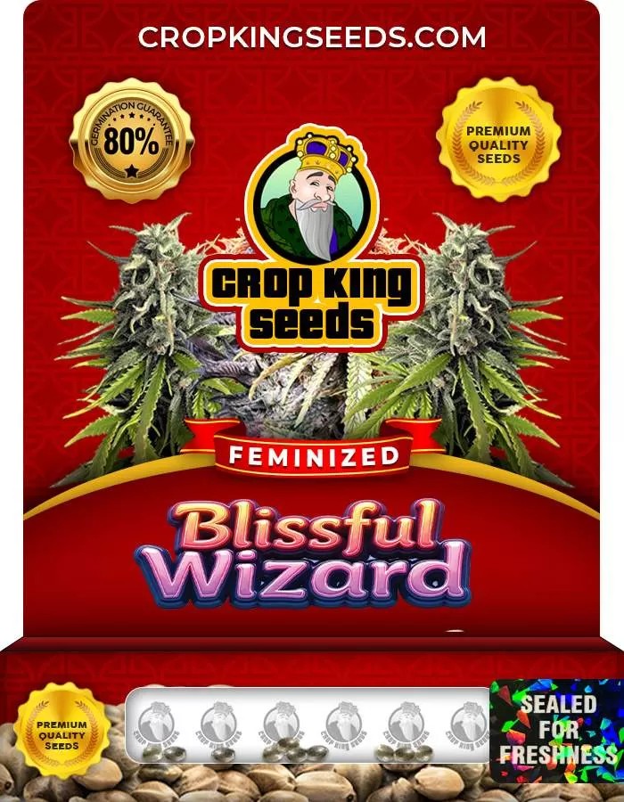 Blissful Wizard Strain Feminized Marijuana Seeds