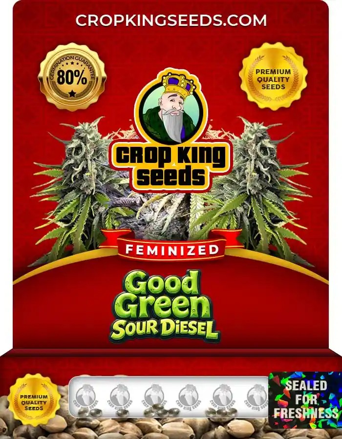 Good Green Sour Diesel Strain Feminized Seeds