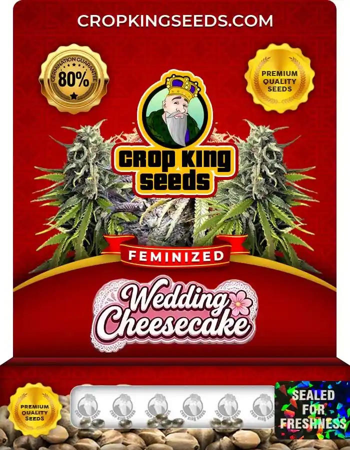 Wedding Cheesecake Strain Feminized Marijuana Seeds