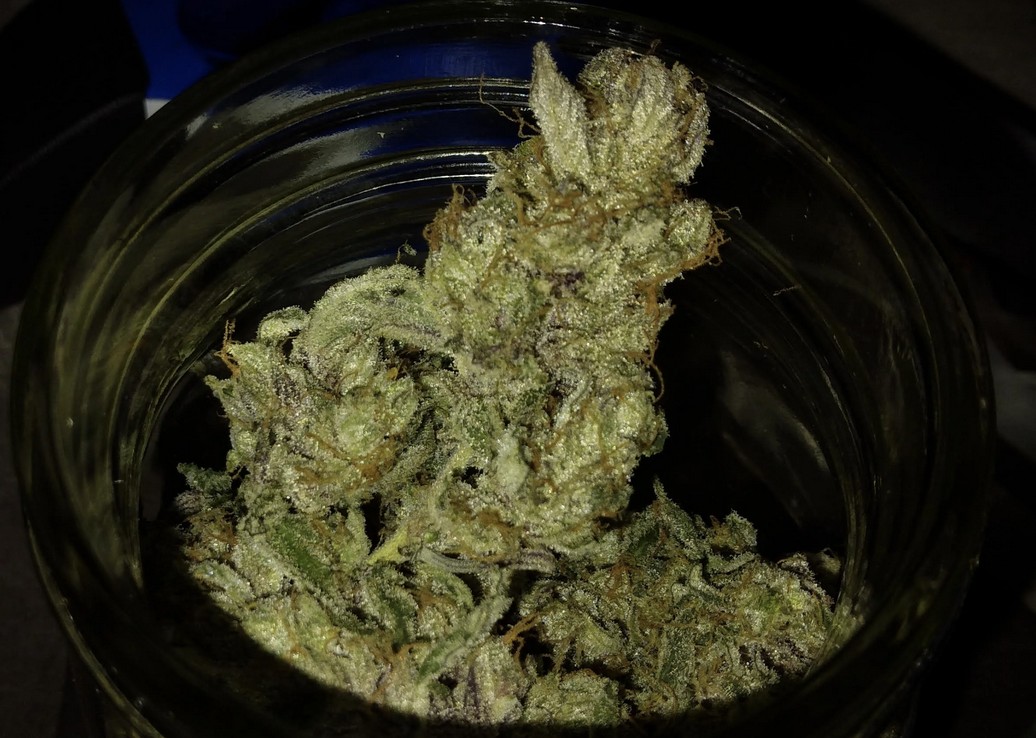 91 Berries – Cookie Smasher x Chem 91 F4 Auto
