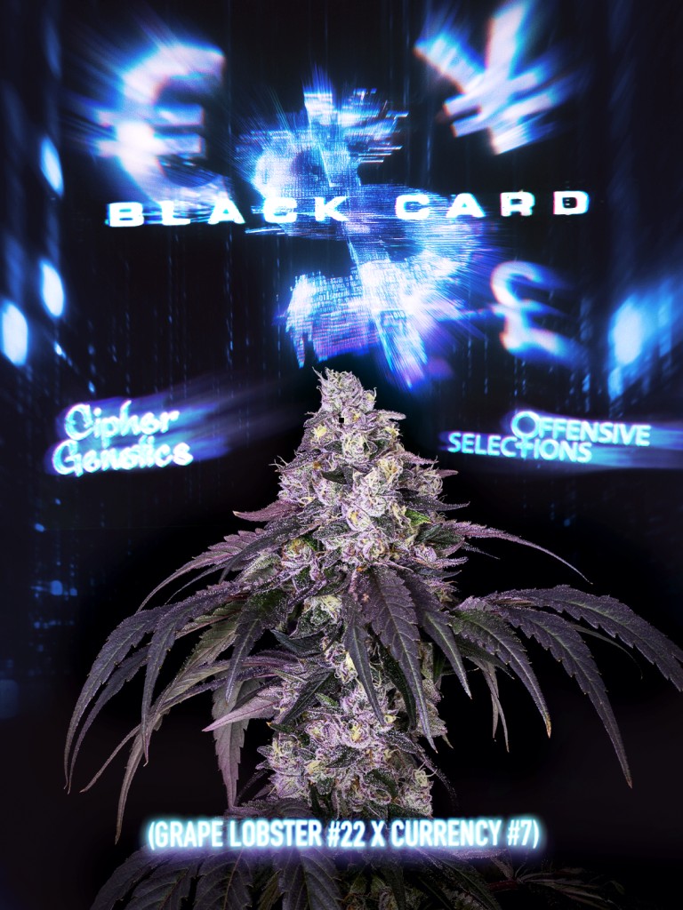Black Card – Grape Lobster x Currency
