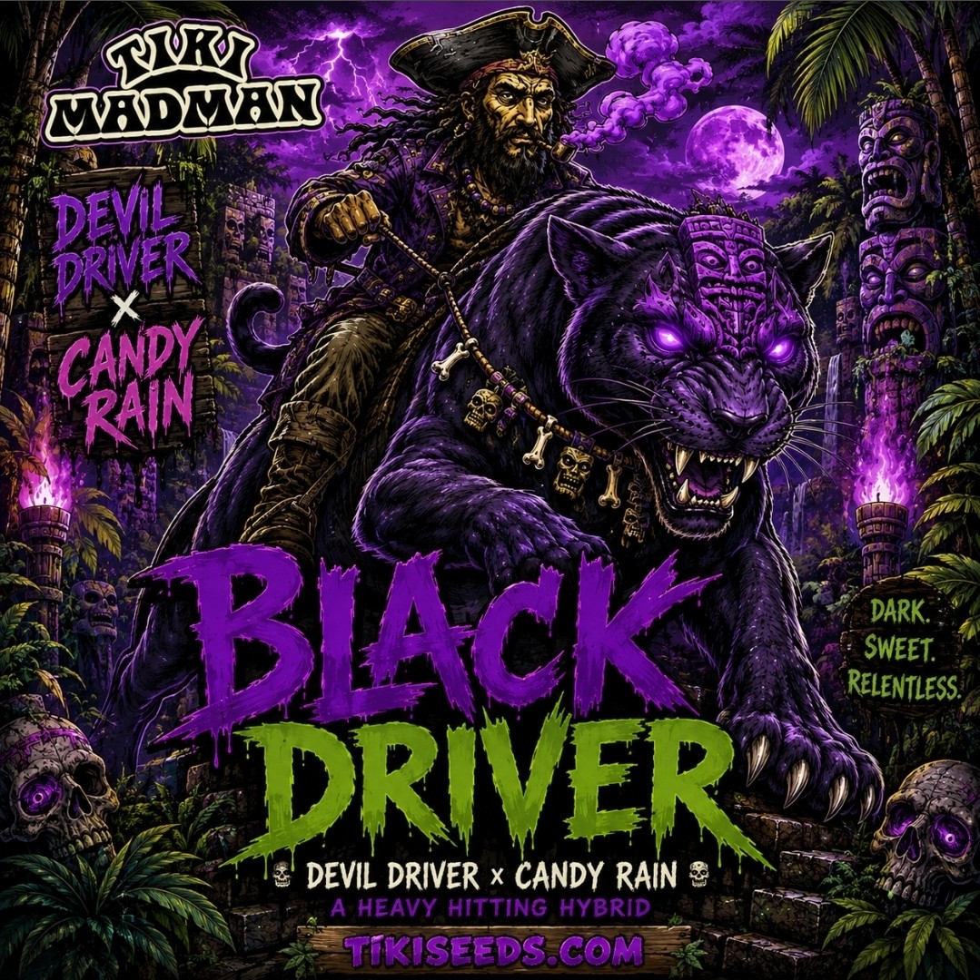 Black Driver – Devil Driver x Candy Rain
