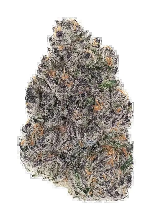 Blackberry Banana – Don Mega x Blackberry Octane