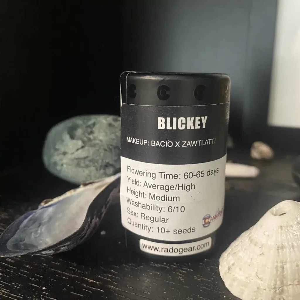 Blickey – Bacio x Zawtlatti