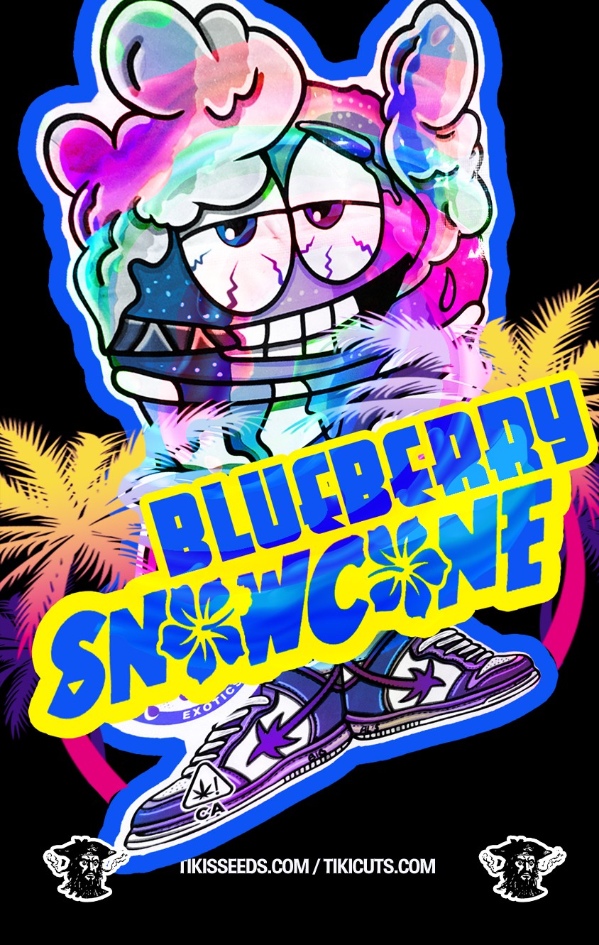 BlueBerry SnowCone – Hawaiian Snow Cone x (Blooberry Z x Tiki Rain)