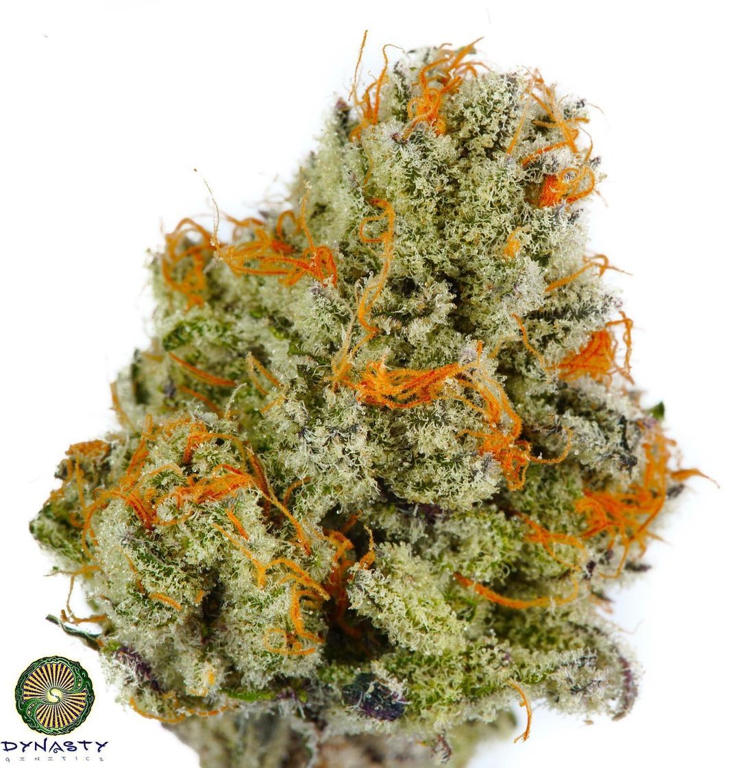Cherry Berry Punch – Huckleberry Punch x Ms. Universe #10
