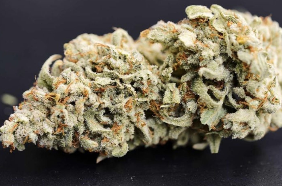 Dessert Isle – (Toof Decay x Tyrone Stomper) x Mango Isle