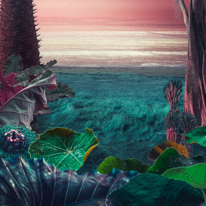 Ethos – Tropical Thunder AUTO Multipack