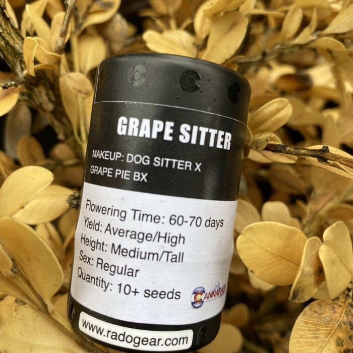 Grape Sitter – Dog Sitter x Grape Pie bx