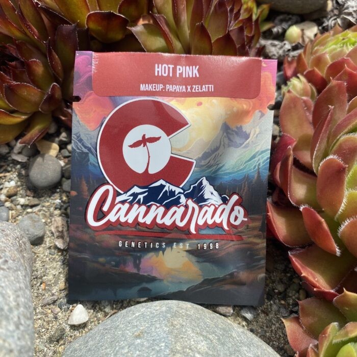 Hot Pink – Papaya x Zelatti