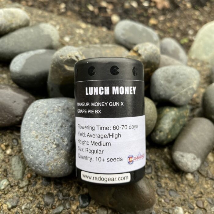 Lunch Money – Money Gun x Grape Pie bx