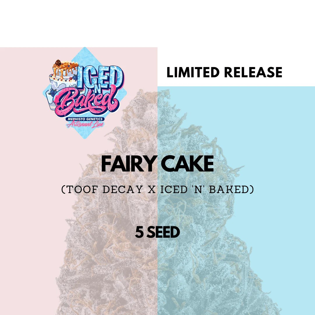 Mephisto Genetics – Fairy Cake