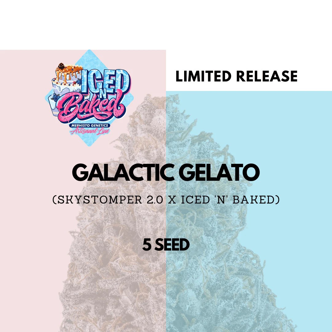 Mephisto Genetics – Galactic Gelato