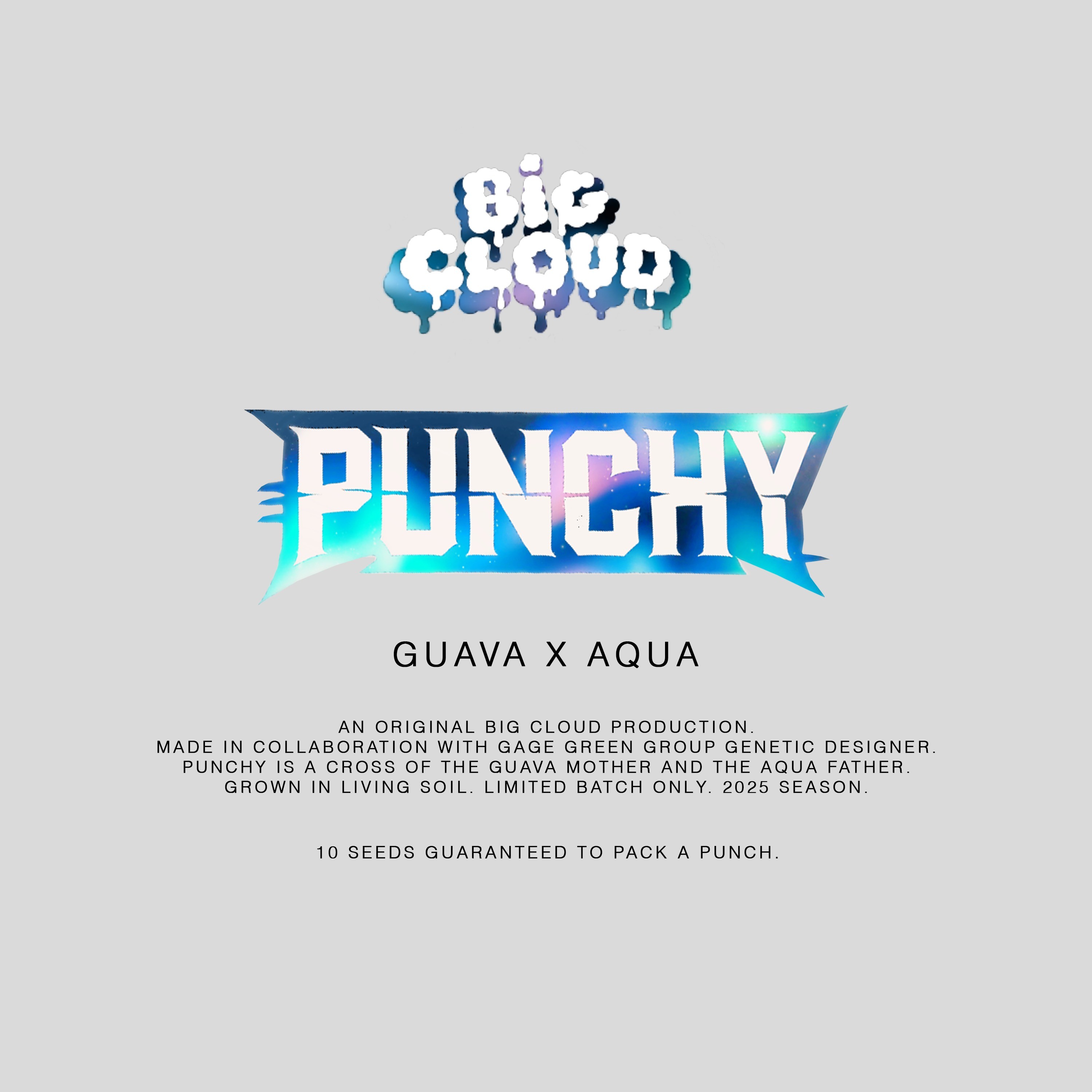 Punchy – Guava x Aqua