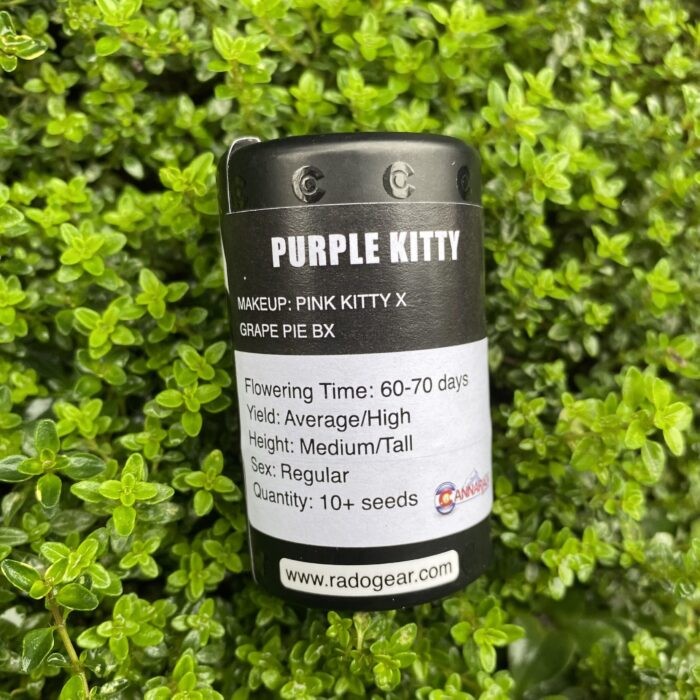 Purple Kitty – Pink Kitty x Grape Pie bx