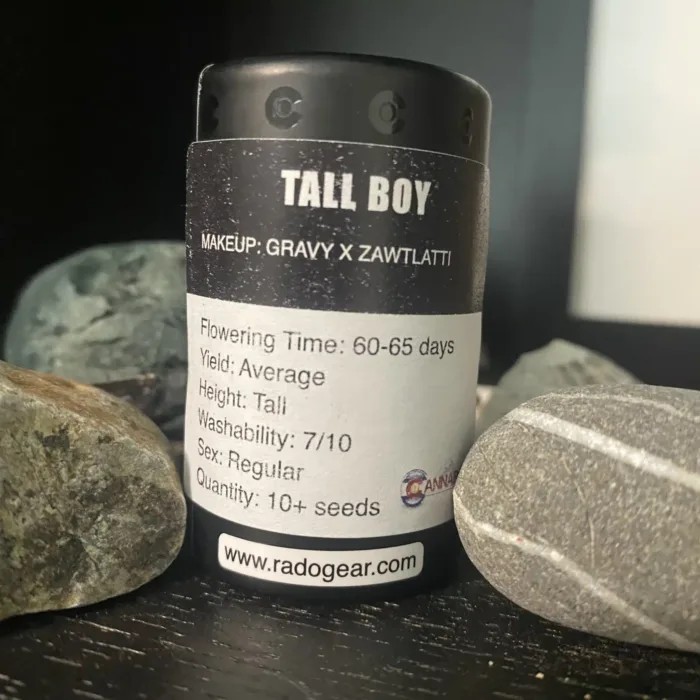 Tall Boy – Gravy x Zawtlatti