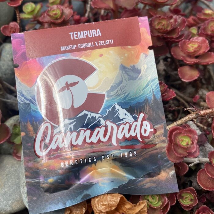 Tempura – Eggroll x Zelatti