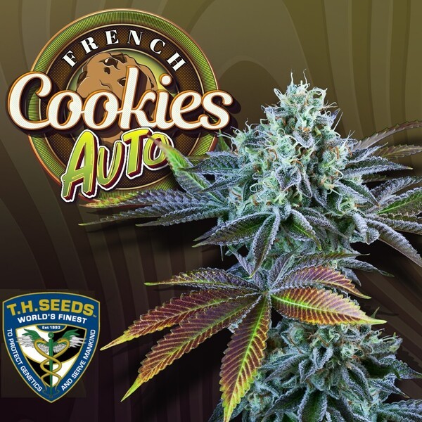 Auto French Cookies