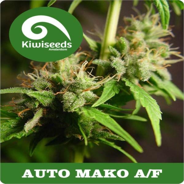 Auto Mako A/F
