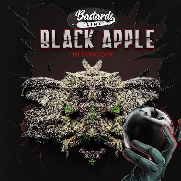 Black Apple Hitchcock
