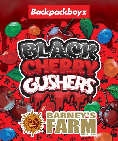 Black Cherry Gushers