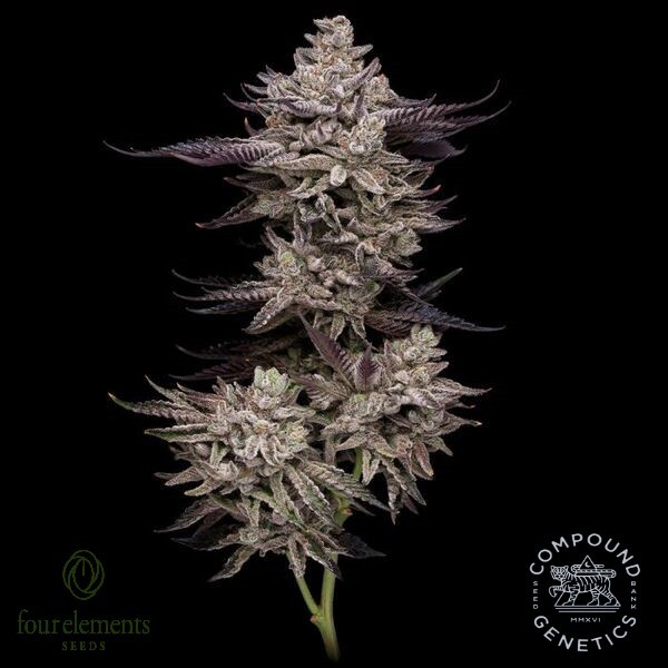 El Valle Haze