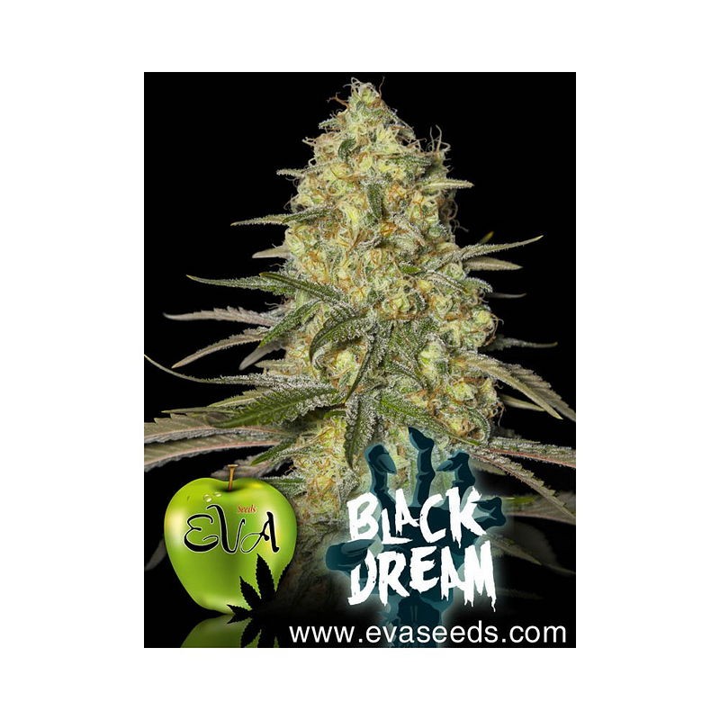 Gorilla Candy