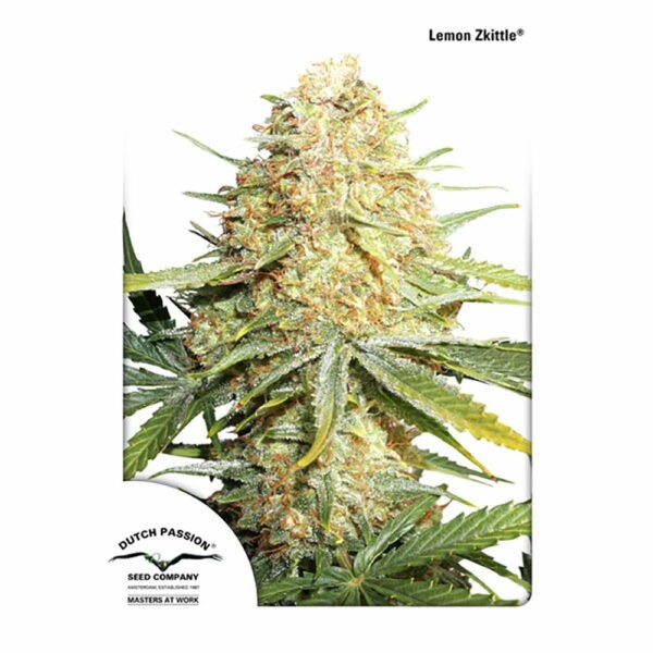 Lemon Zkittle®