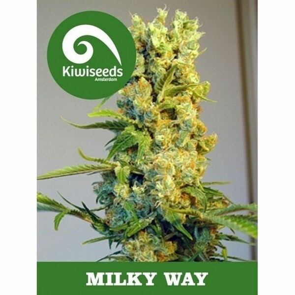 Milky Way