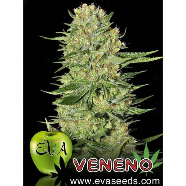 Veneno