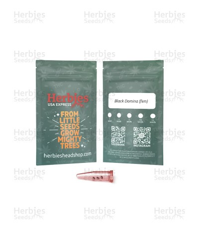 Black Domina (Herbies Seeds)
