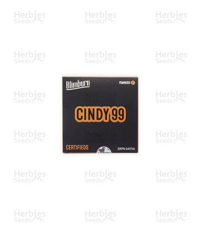 Cindy 99 Seeds