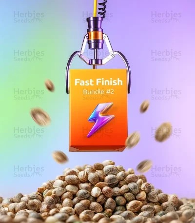 Fast Finish Bundle #2