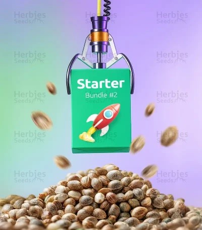 Starter Bundle #2
