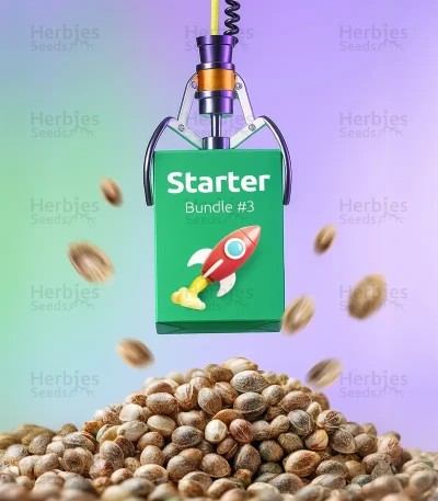 Starter Bundle #3