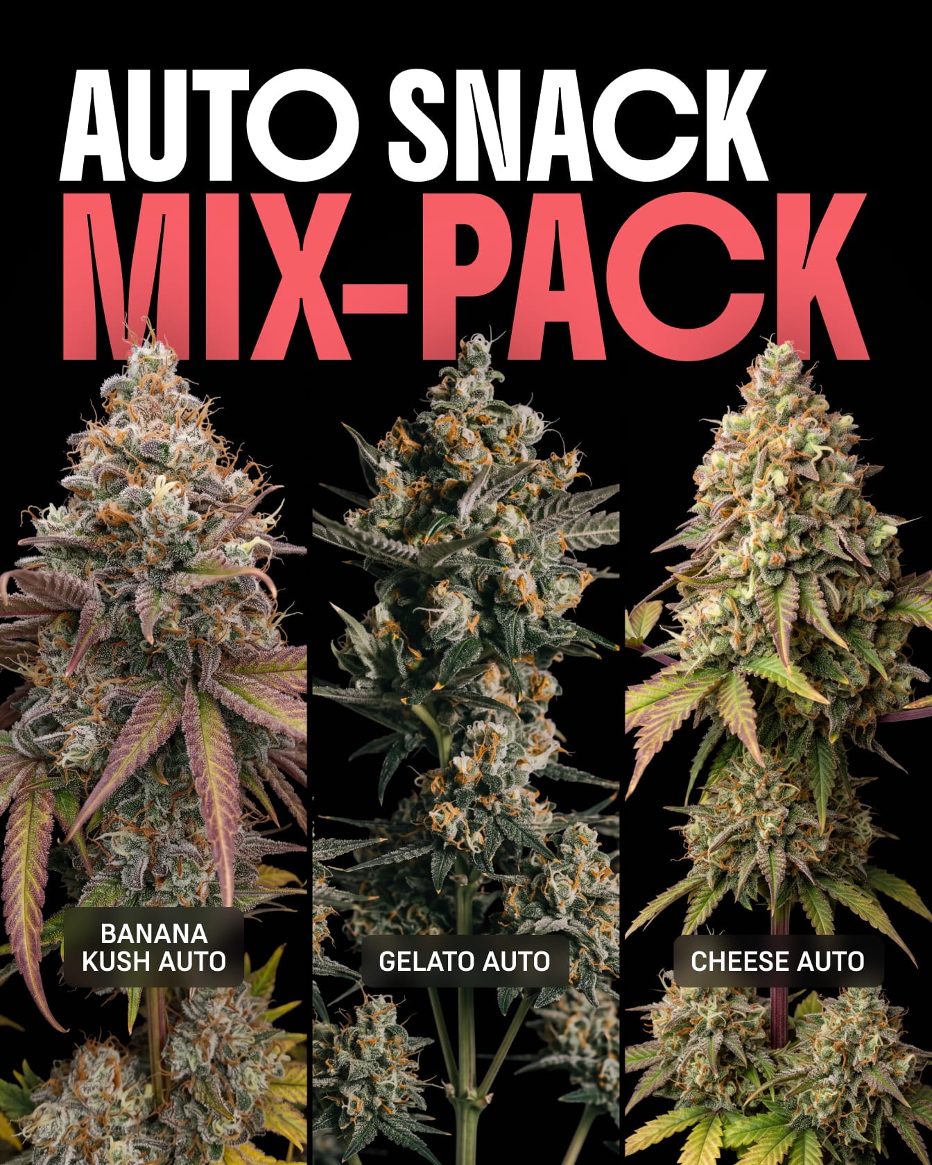 Autoflower Snack Mix