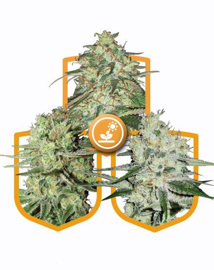 Outdoor Growing Seed Pack