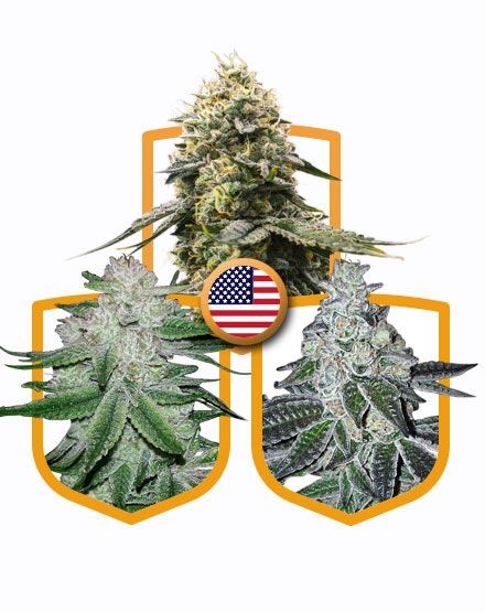 USA Mega Seed Pack