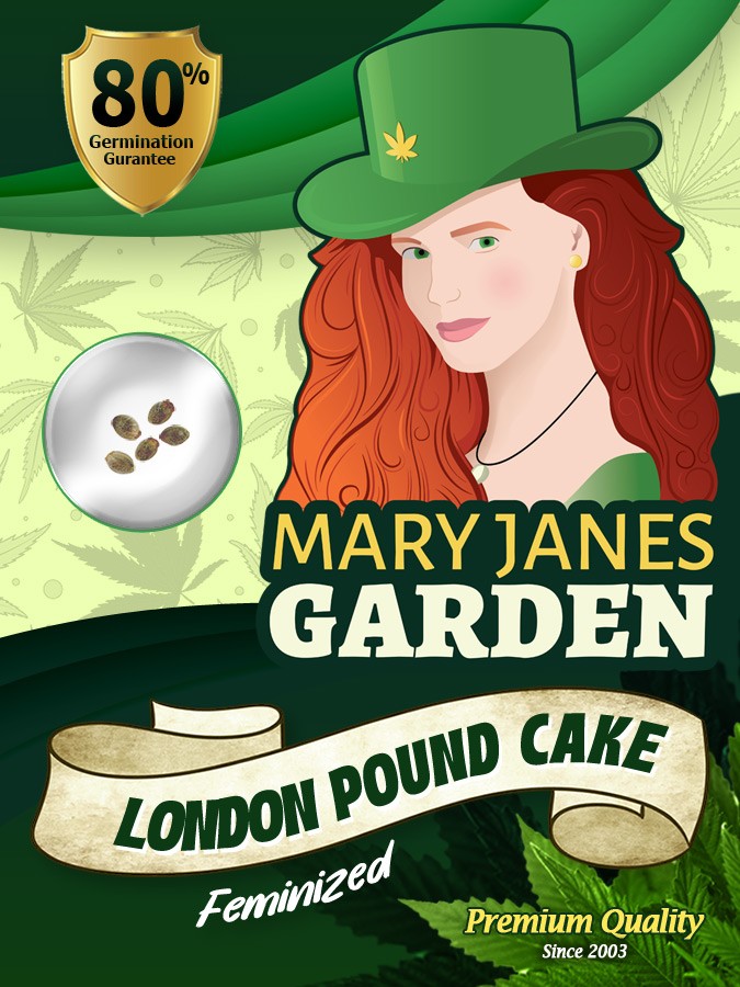 London Pound Cake Strain Feminized Marijuana Seeds