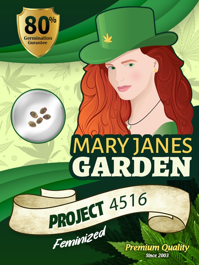 Project 4516 Strain Feminized Marijuana Seeds